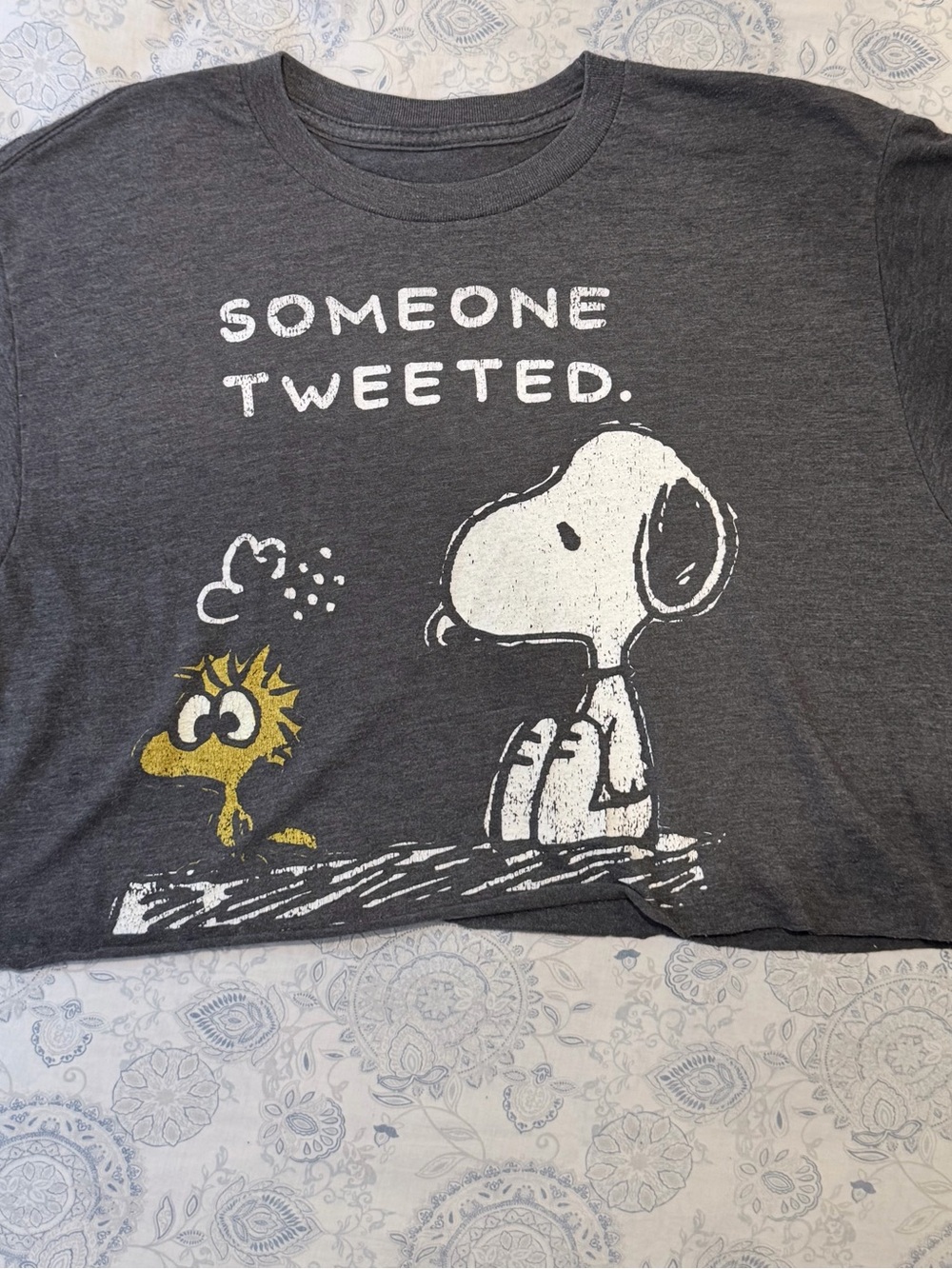 Peanuts Gray Cropped Tee with Snoopy & Woodstock Graphic